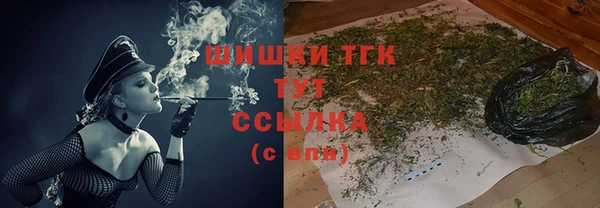 прущие грибы Наволоки