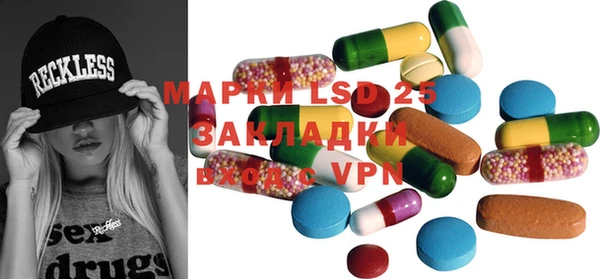 прущие грибы Наволоки