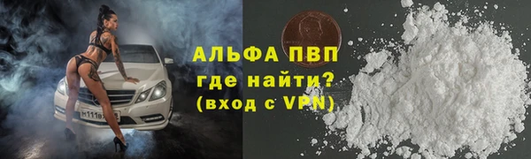 прущие грибы Наволоки