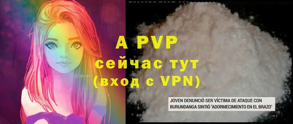 прущие грибы Наволоки