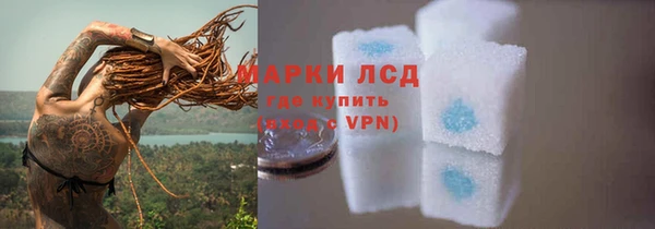 молекула духа Надым