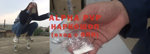 молекула духа Надым
