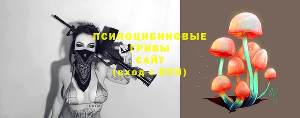 прущие грибы Наволоки