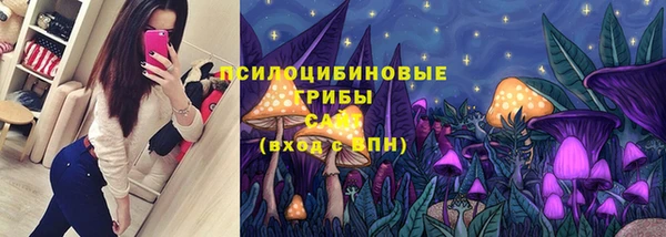 молекула духа Надым