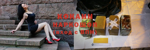 прущие грибы Наволоки