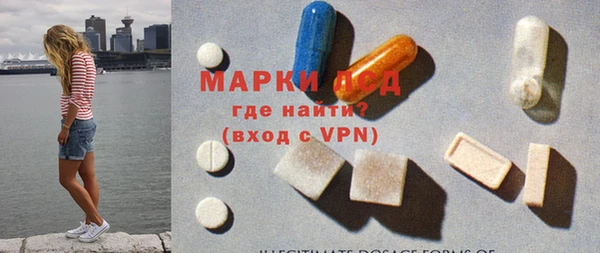 прущие грибы Наволоки