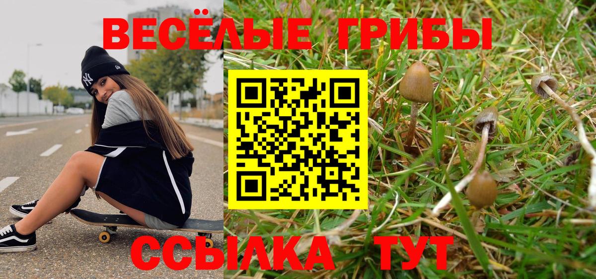 Псилоцибиновые грибы Cubensis  Вход с VPN  где купить наркоту  Краснокамск 