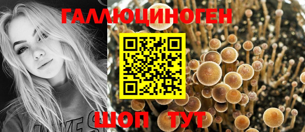 хочу наркоту  Краснокамск  Псилоцибиновые грибы Psilocybe 